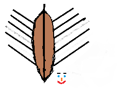 nimetön.png