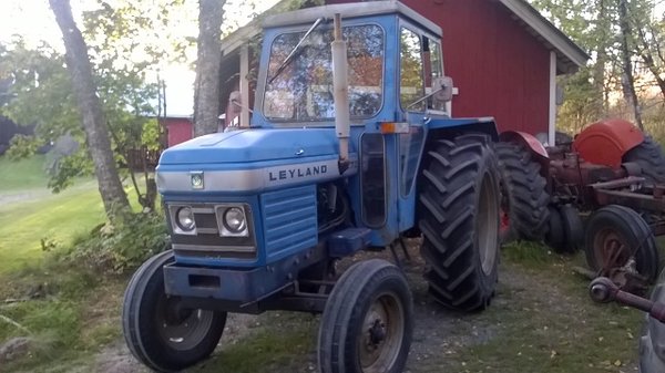Layland 2.jpg
