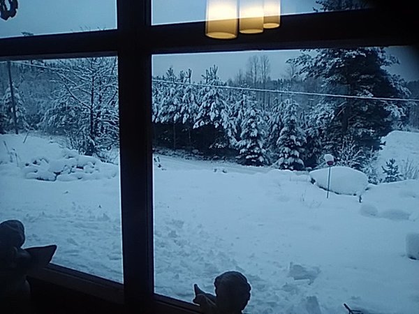 IMG_20171202_111241.jpg